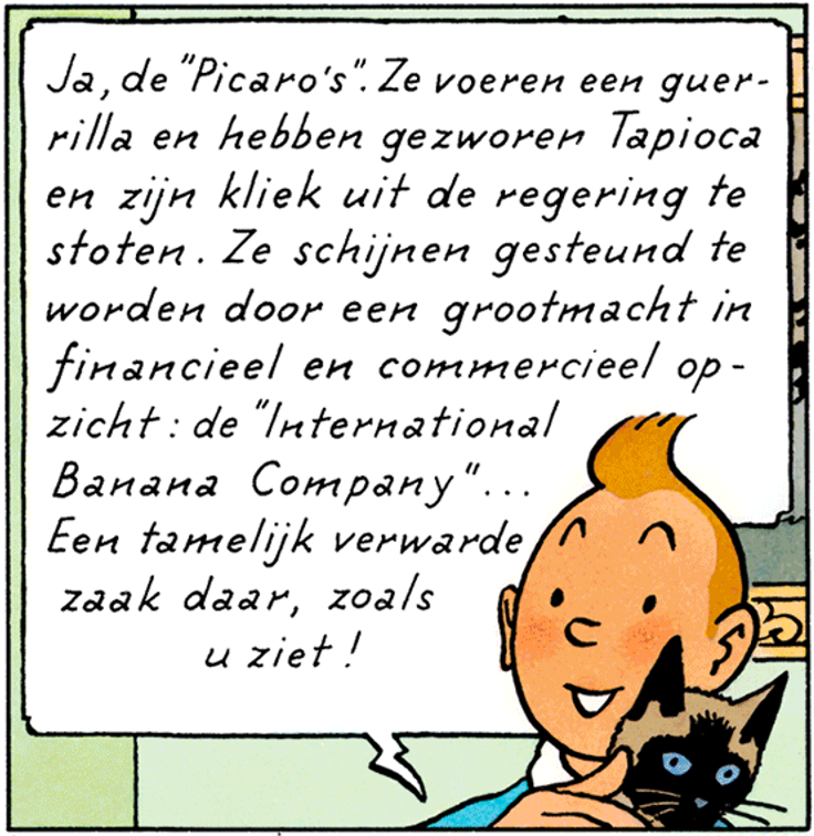 Tintin tien un chat dans Tintin et les Picaros